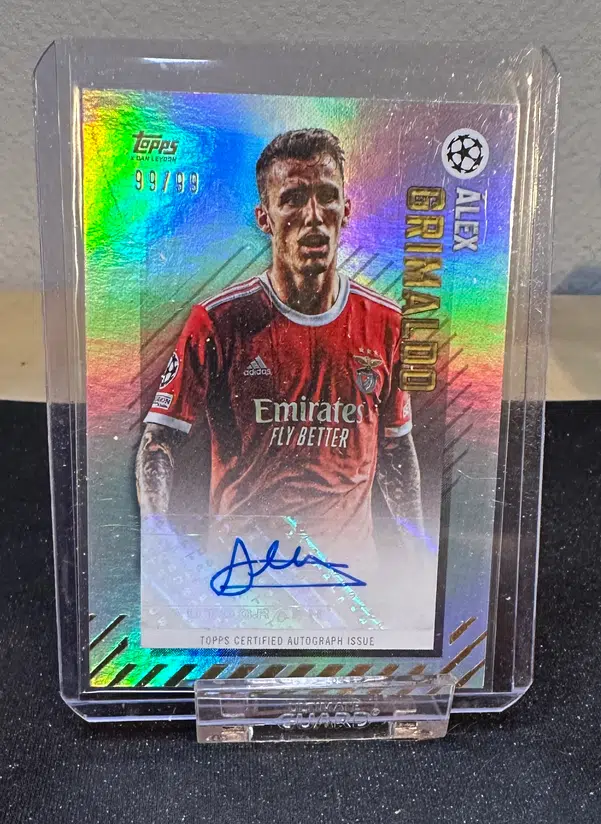 ImageUpload|13070447