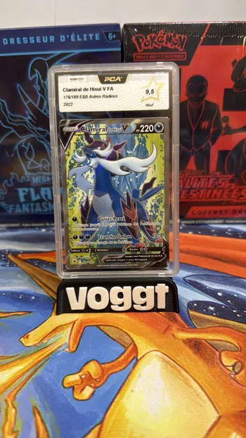 https://cdn.production.voggt.io/products/02b6957c-e3e5-4ac6-9682-389d95436068.jpeg/350/product.webp