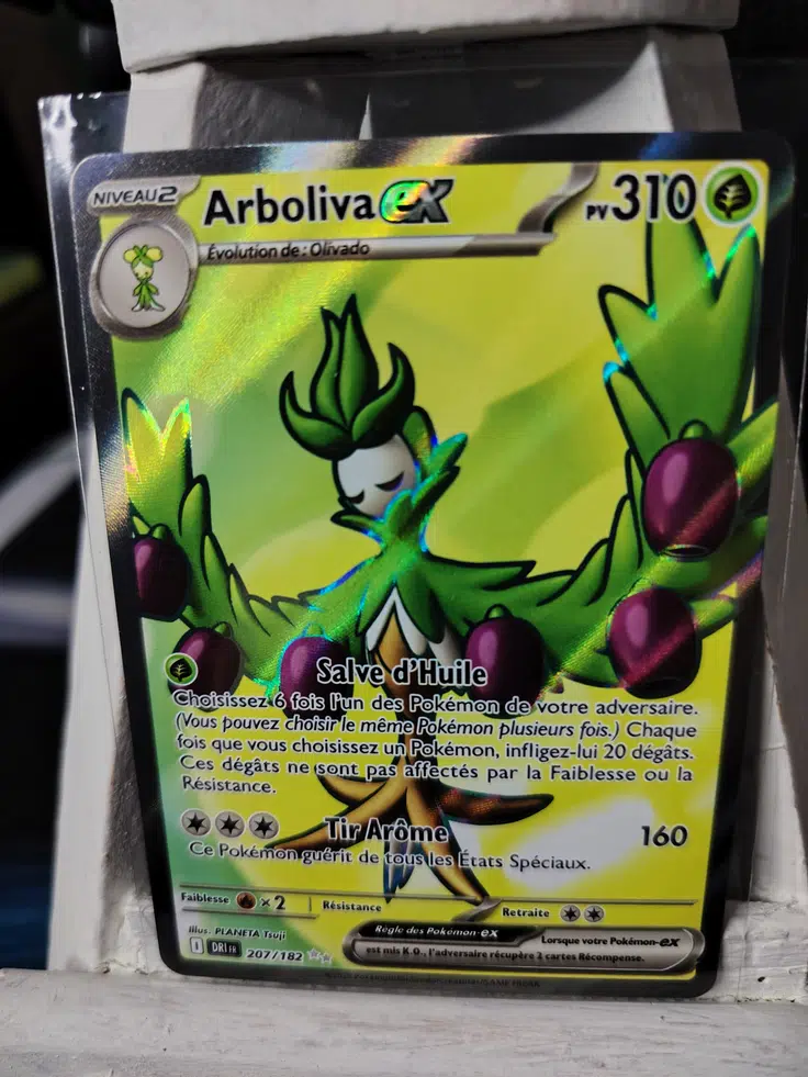 Voggt - buy Arboliva EX 207/182 Voggt - buy Arboliva EX 207/182