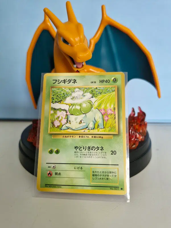 ImageUpload|10071550