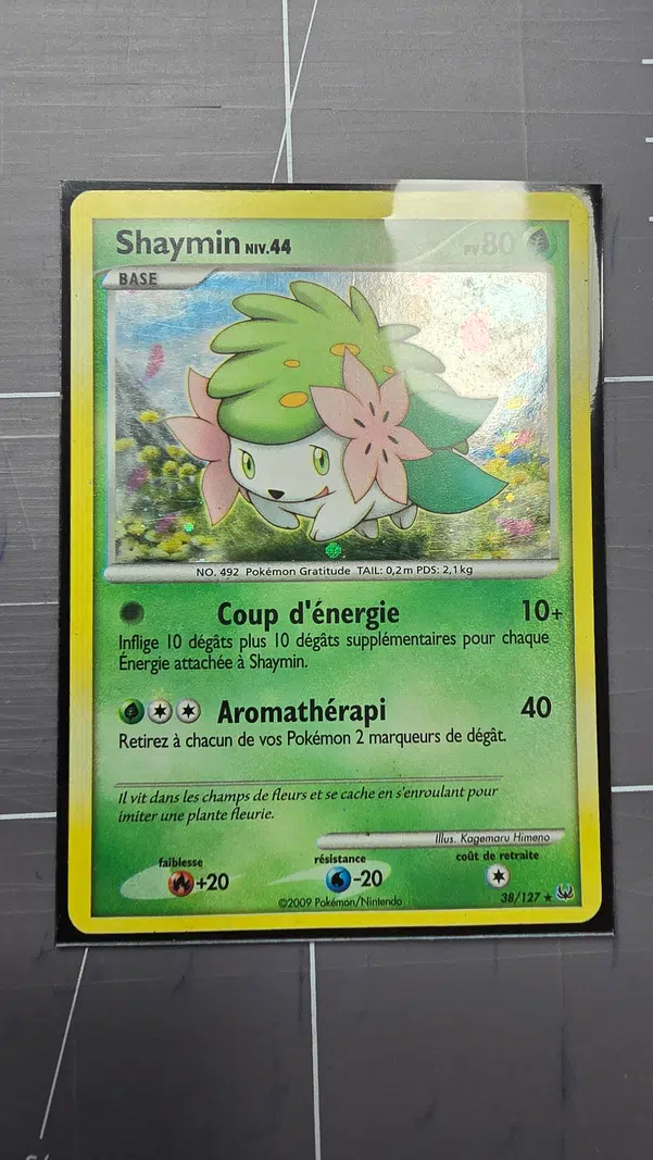 ImageUpload|11221365