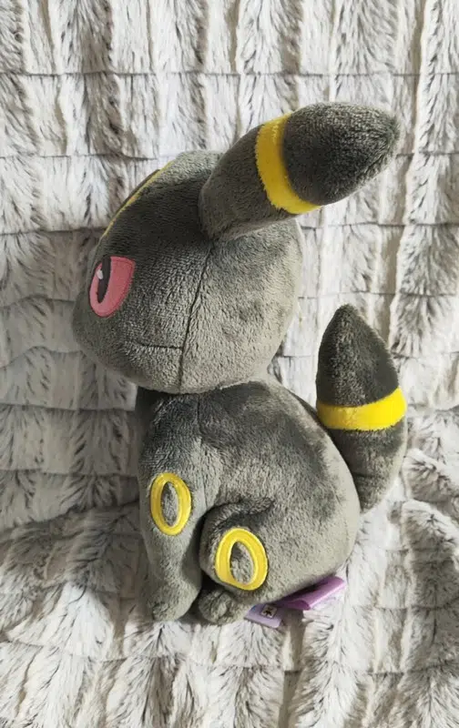 ImageUpload|10916498