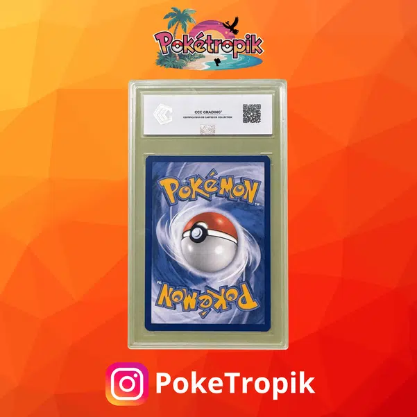 ImageUpload|13503381