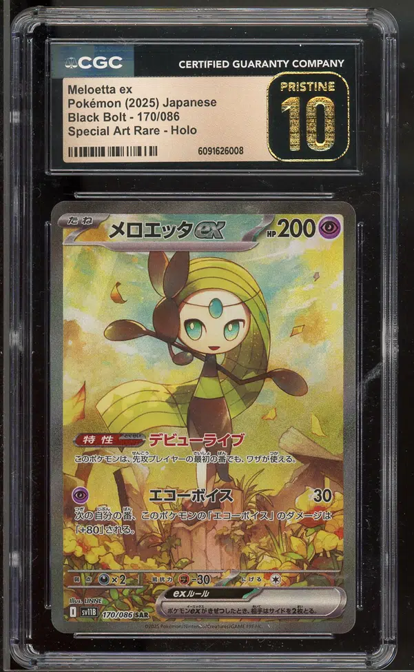 ImageUpload|14305395