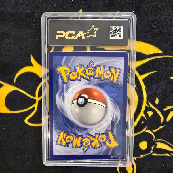 ImageUpload|13688393