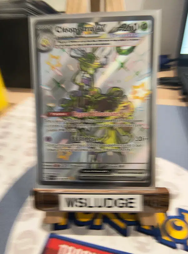 ImageUpload|13480448