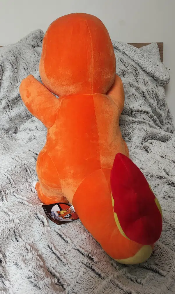 ImageUpload|10916469