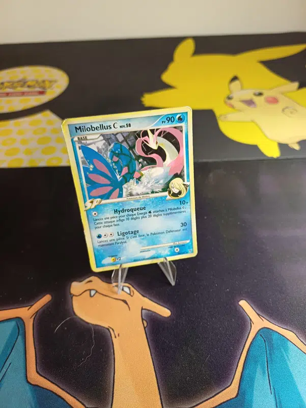 ImageUpload|12236033