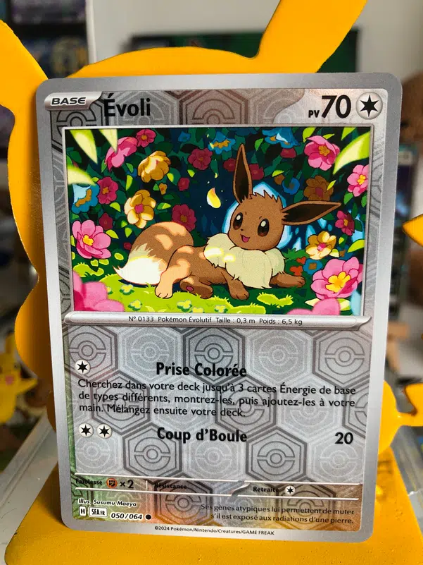 ImageUpload|12757935