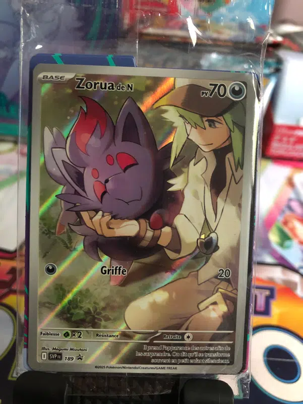 ImageUpload|10040936