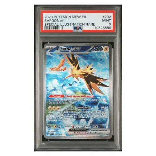 ImageUpload|14229902