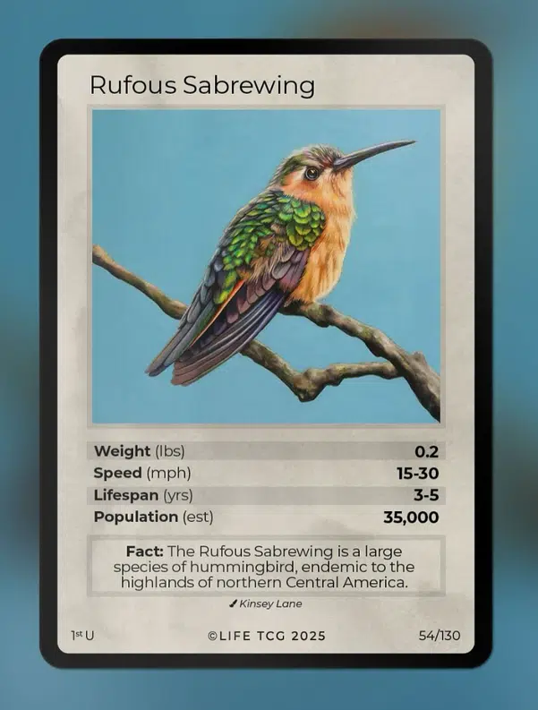 ImageUpload|12642973