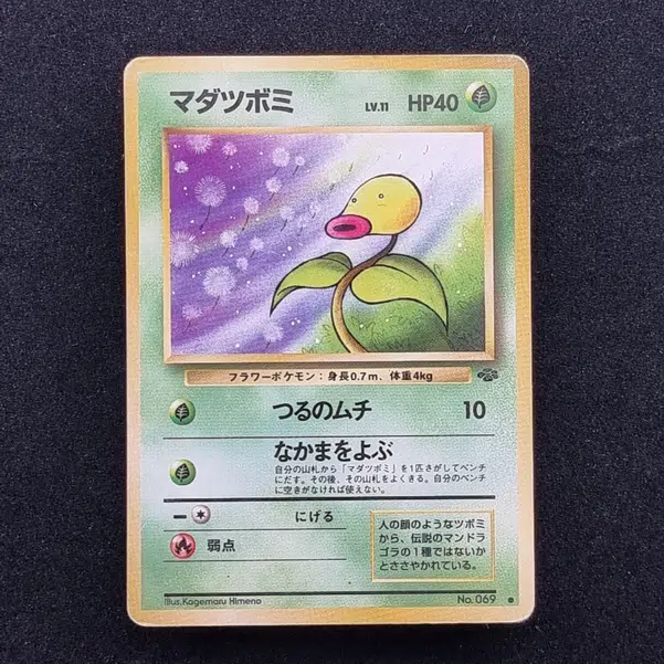 ImageUpload|10097498