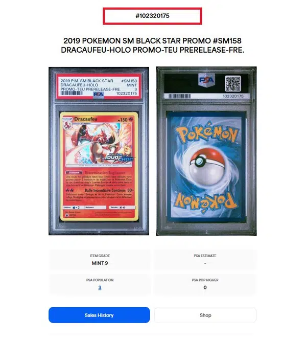 ImageUpload|10905940