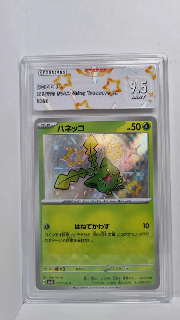 ImageUpload|10567604