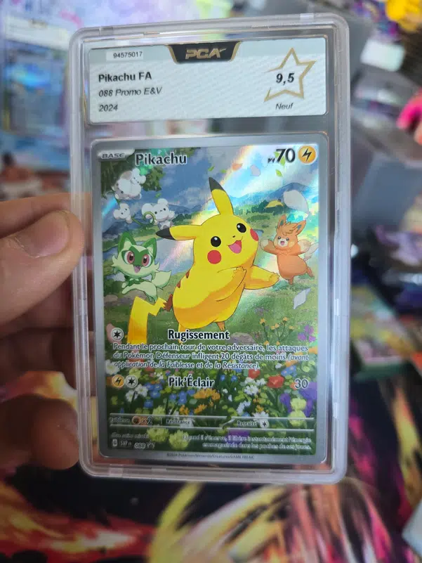 ImageUpload|10984842