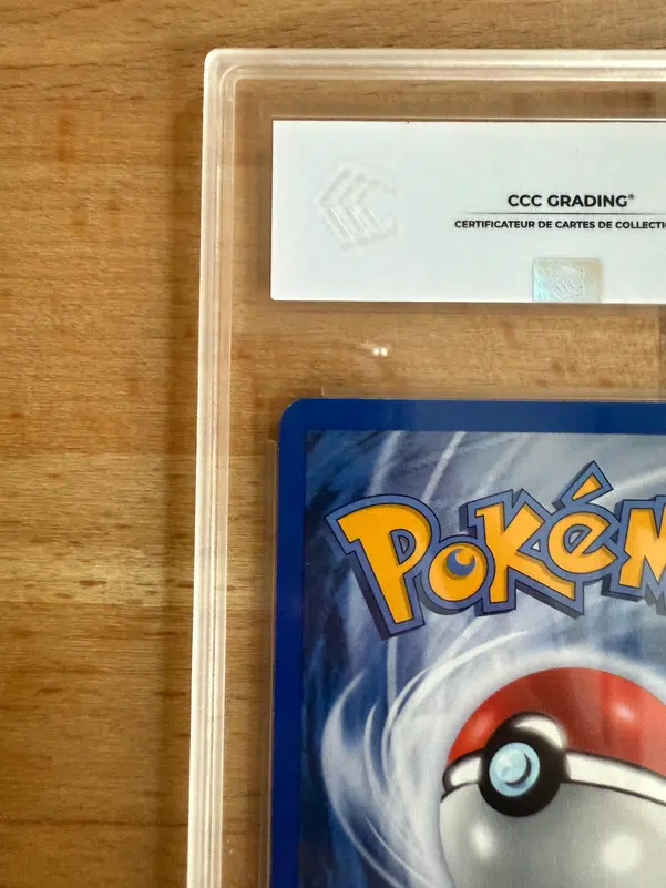 ImageUpload|13043005