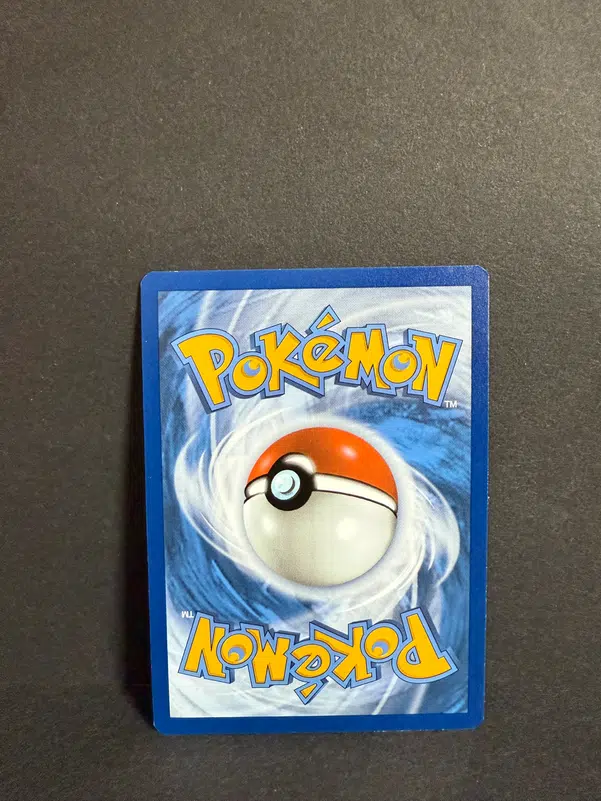 ImageUpload|12986601