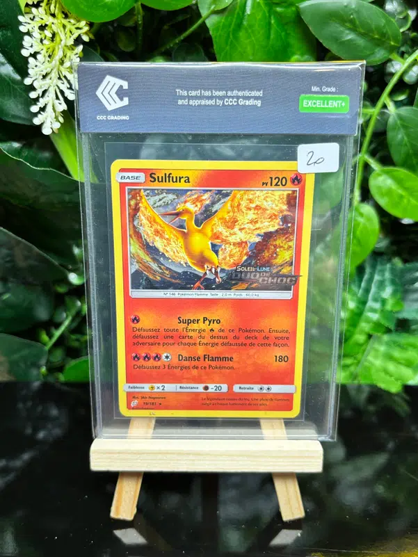 ImageUpload|13352005