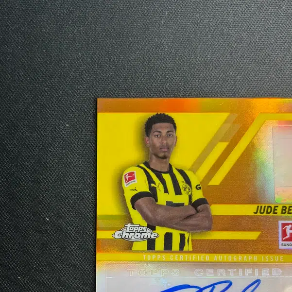 ImageUpload|14718776