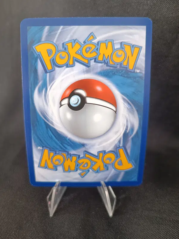 ImageUpload|10007679