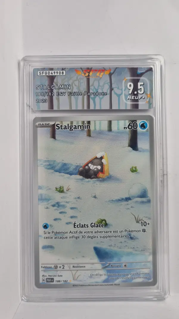 ImageUpload|10463087