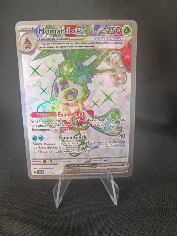 ImageUpload|10637524