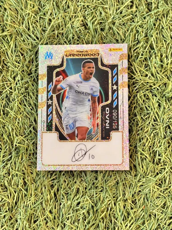 ImageUpload|10510579