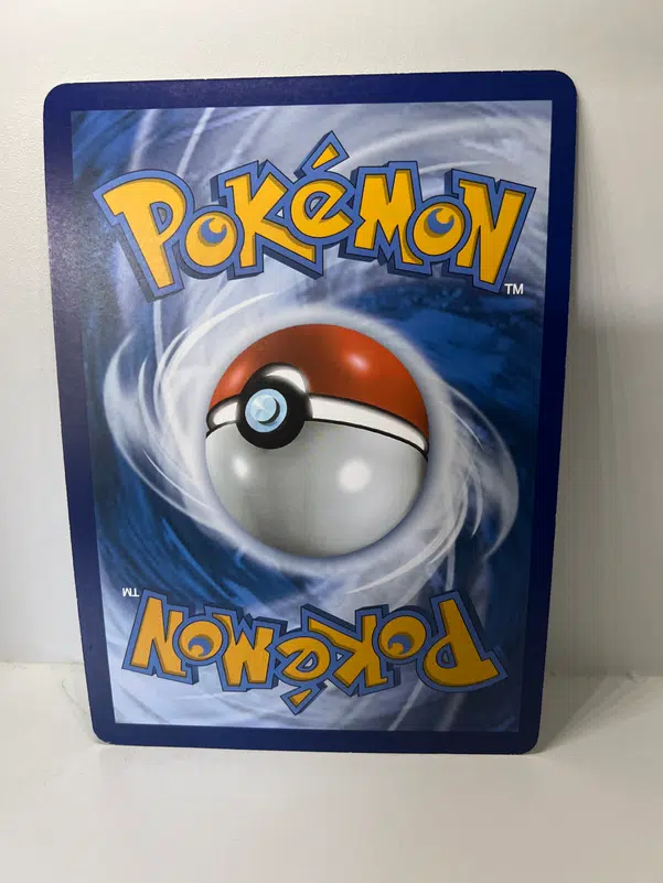 ImageUpload|13256604