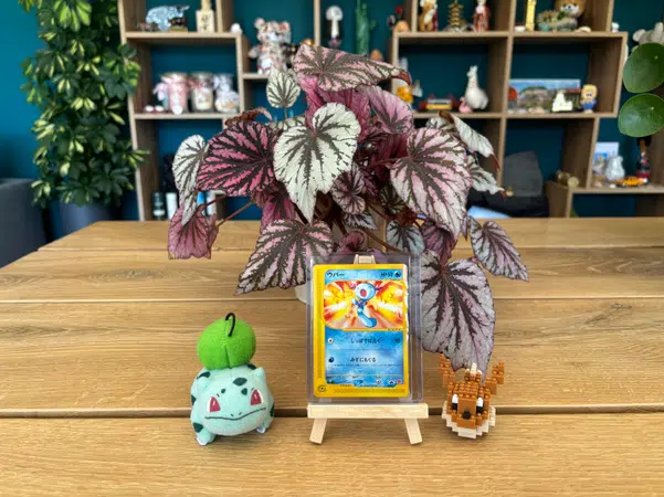 ImageUpload|14621645