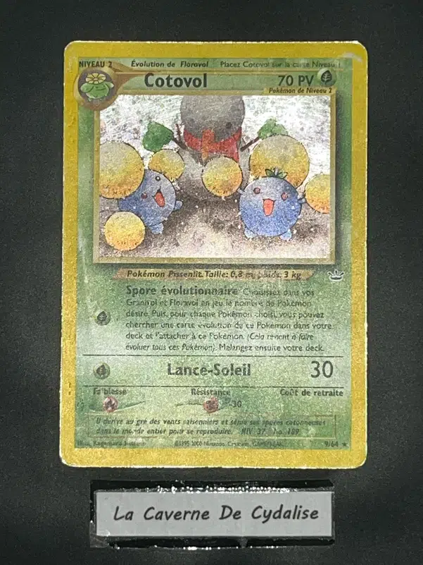 ImageUpload|10609742