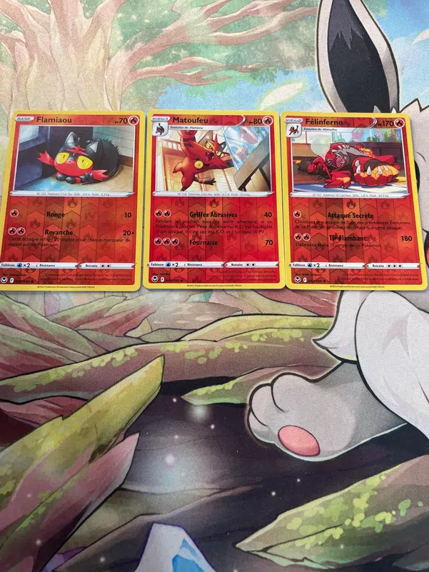 ImageUpload|10475846