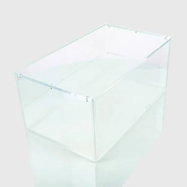 ImageUpload|16246665