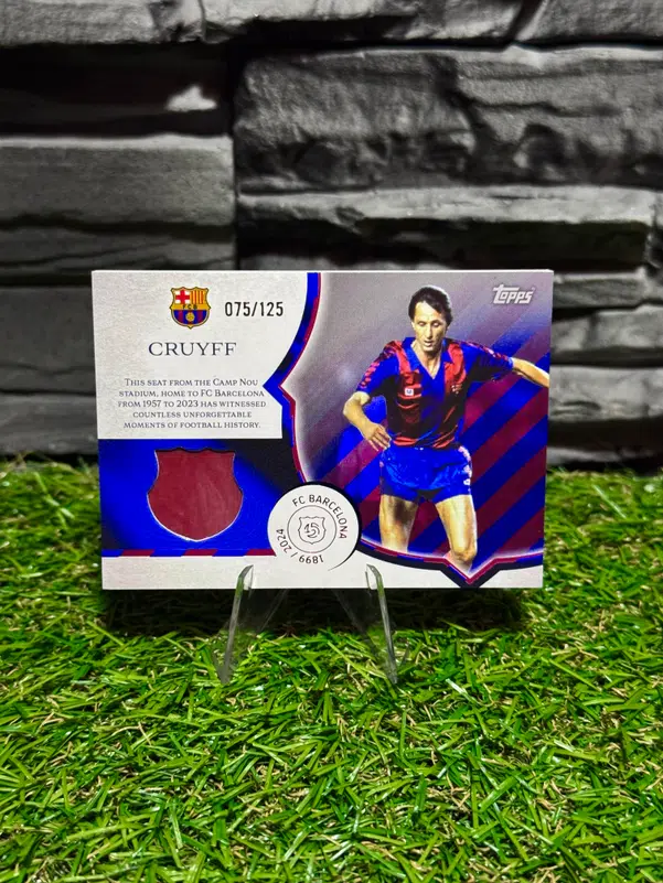 ImageUpload|13387145