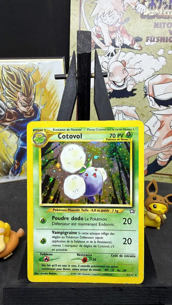 ImageUpload|13573906