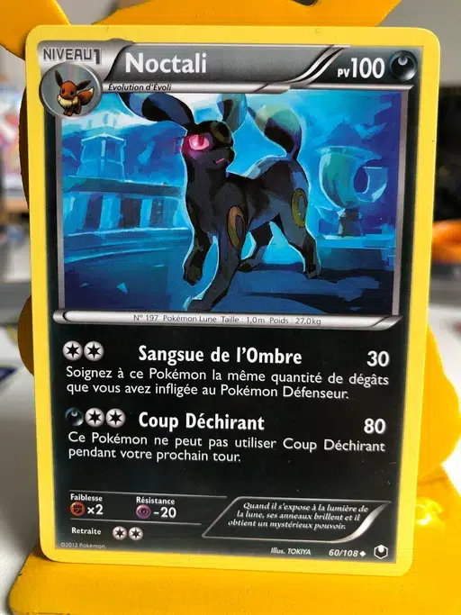 ImageUpload|10833436