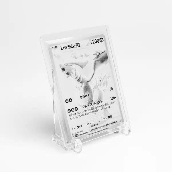 ImageUpload|10981648