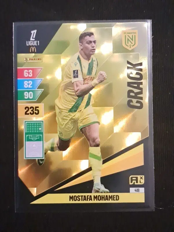 ImageUpload|12928921