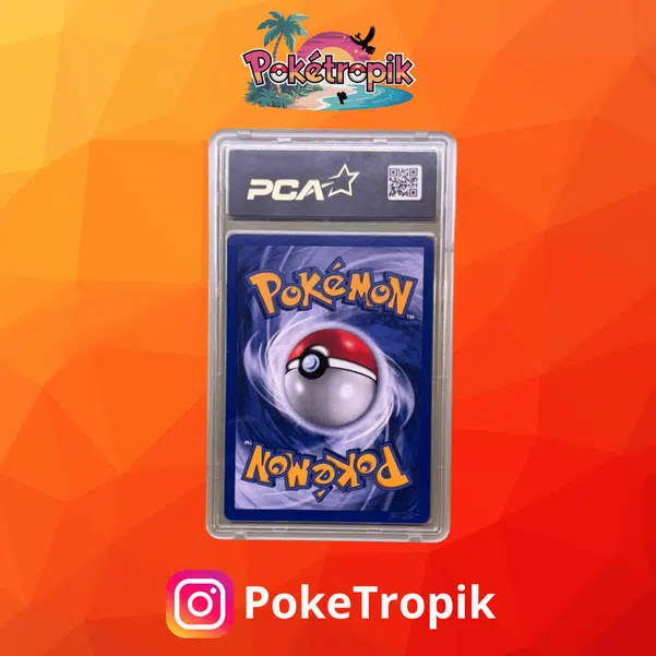 ImageUpload|13503369