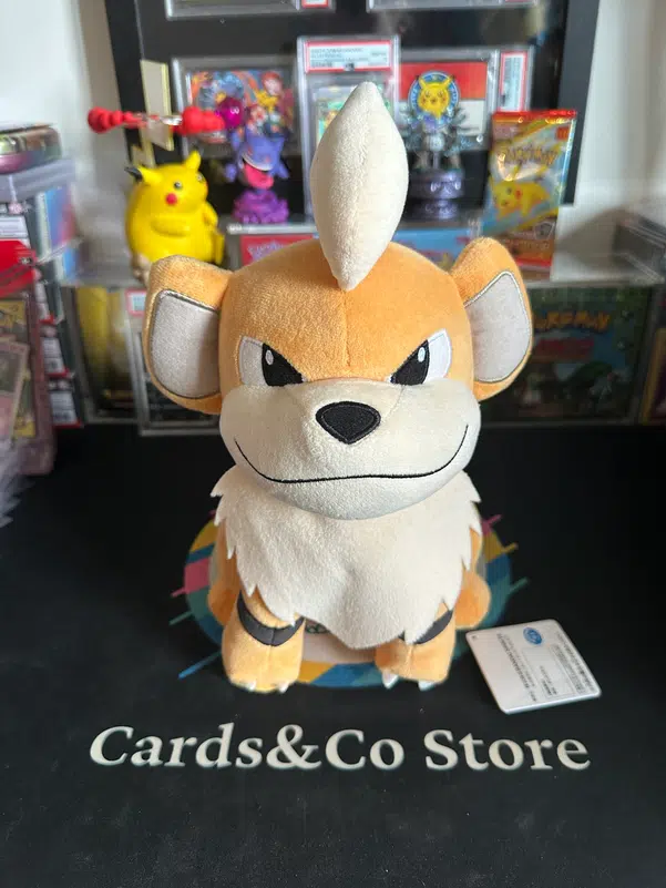 ImageUpload|12932982