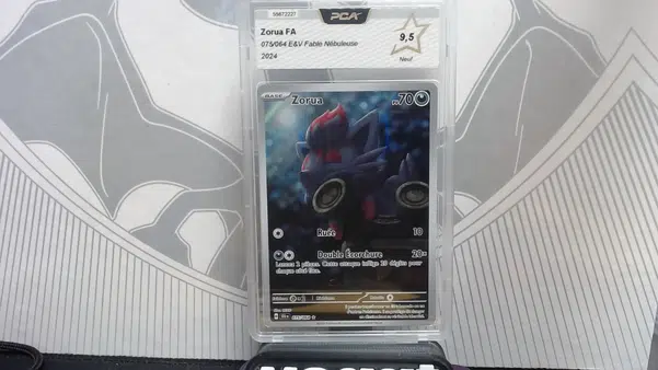 ImageUpload|10767524