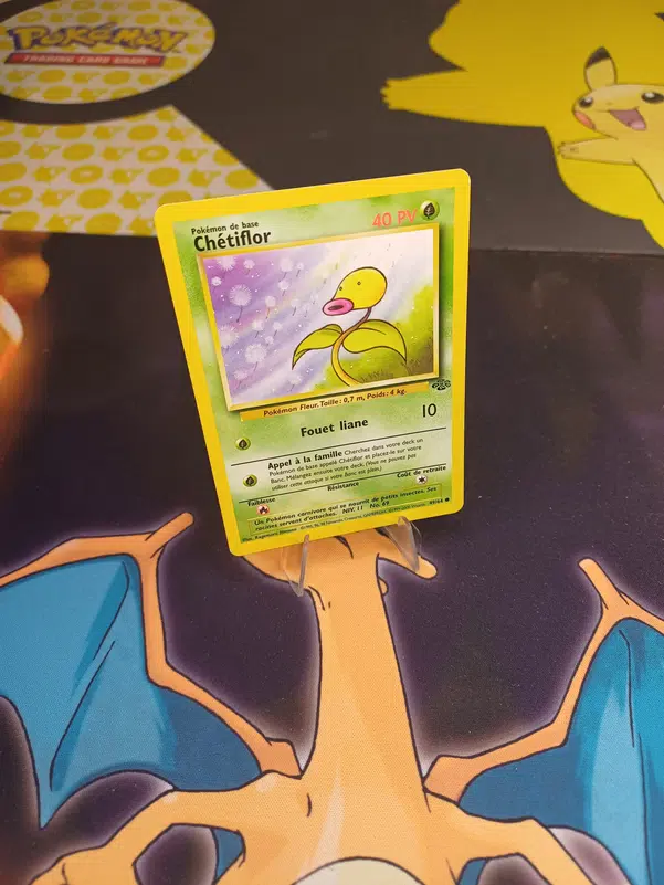 ImageUpload|12236624