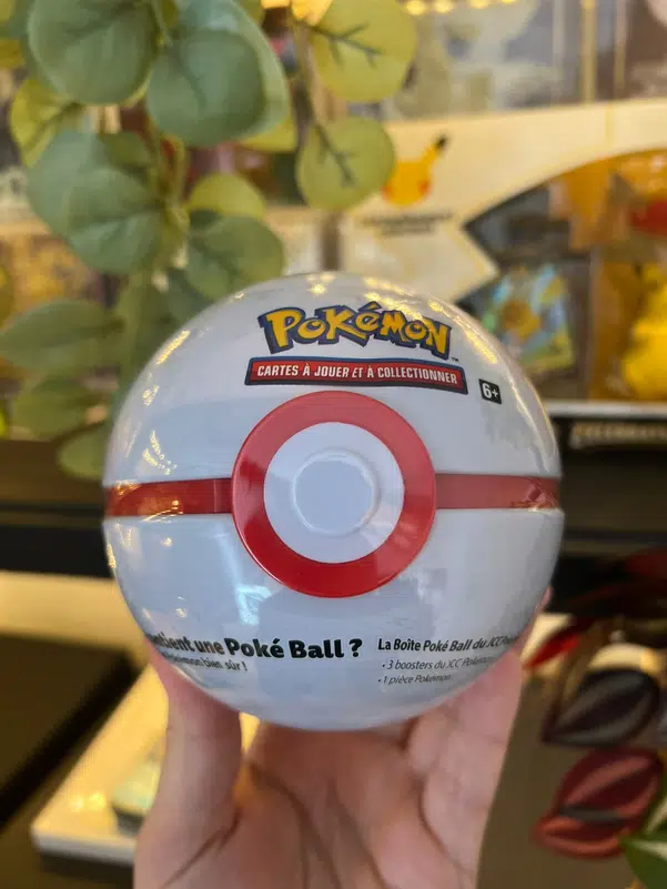 ImageUpload|15367037