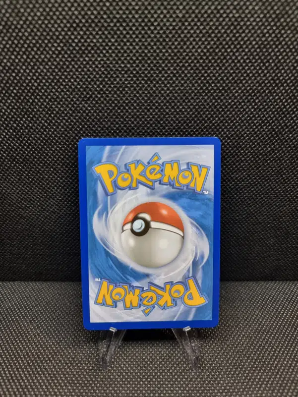 ImageUpload|11283490