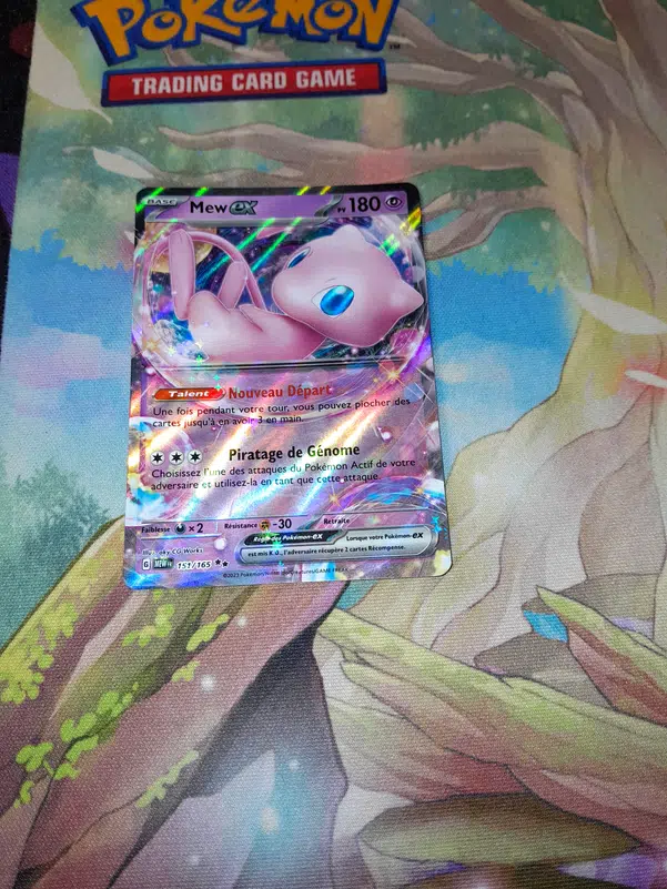 ImageUpload|10862755