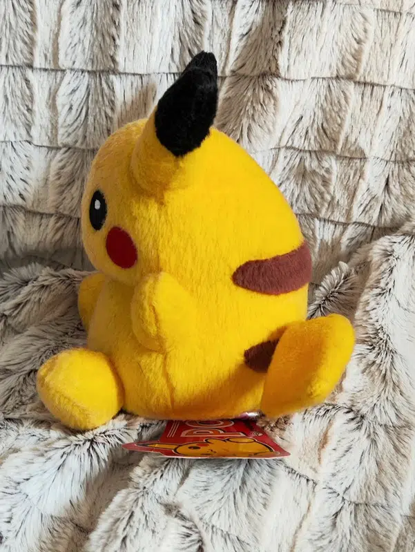 ImageUpload|10916512