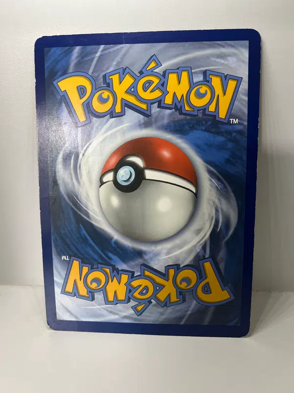 ImageUpload|13256578