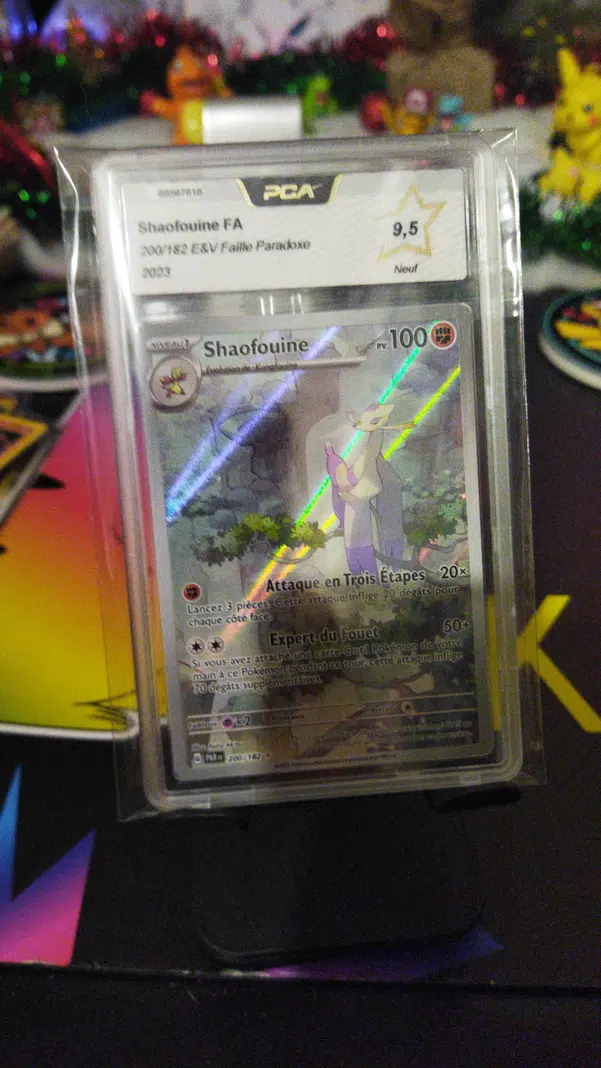 ImageUpload|13607440