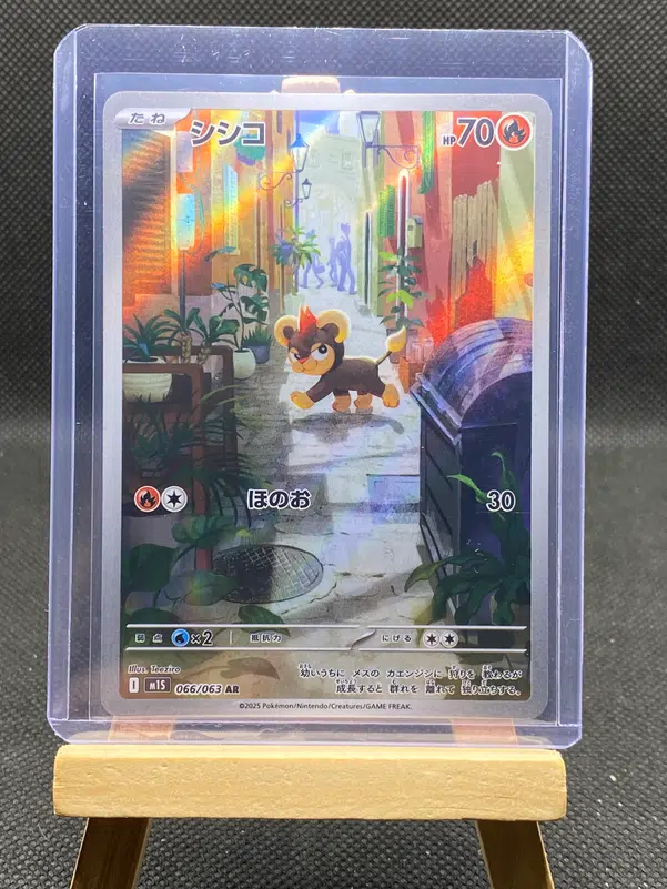 ImageUpload|12933172