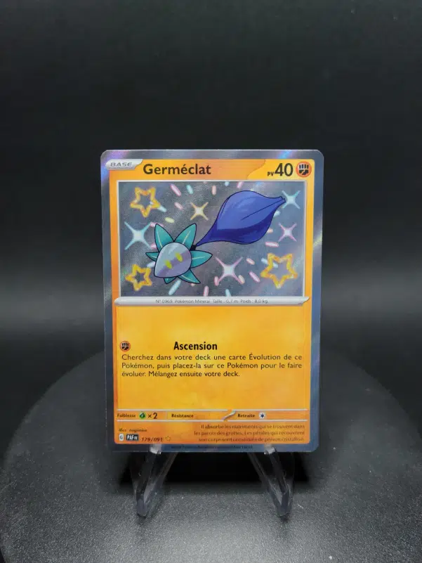 ImageUpload|10282586